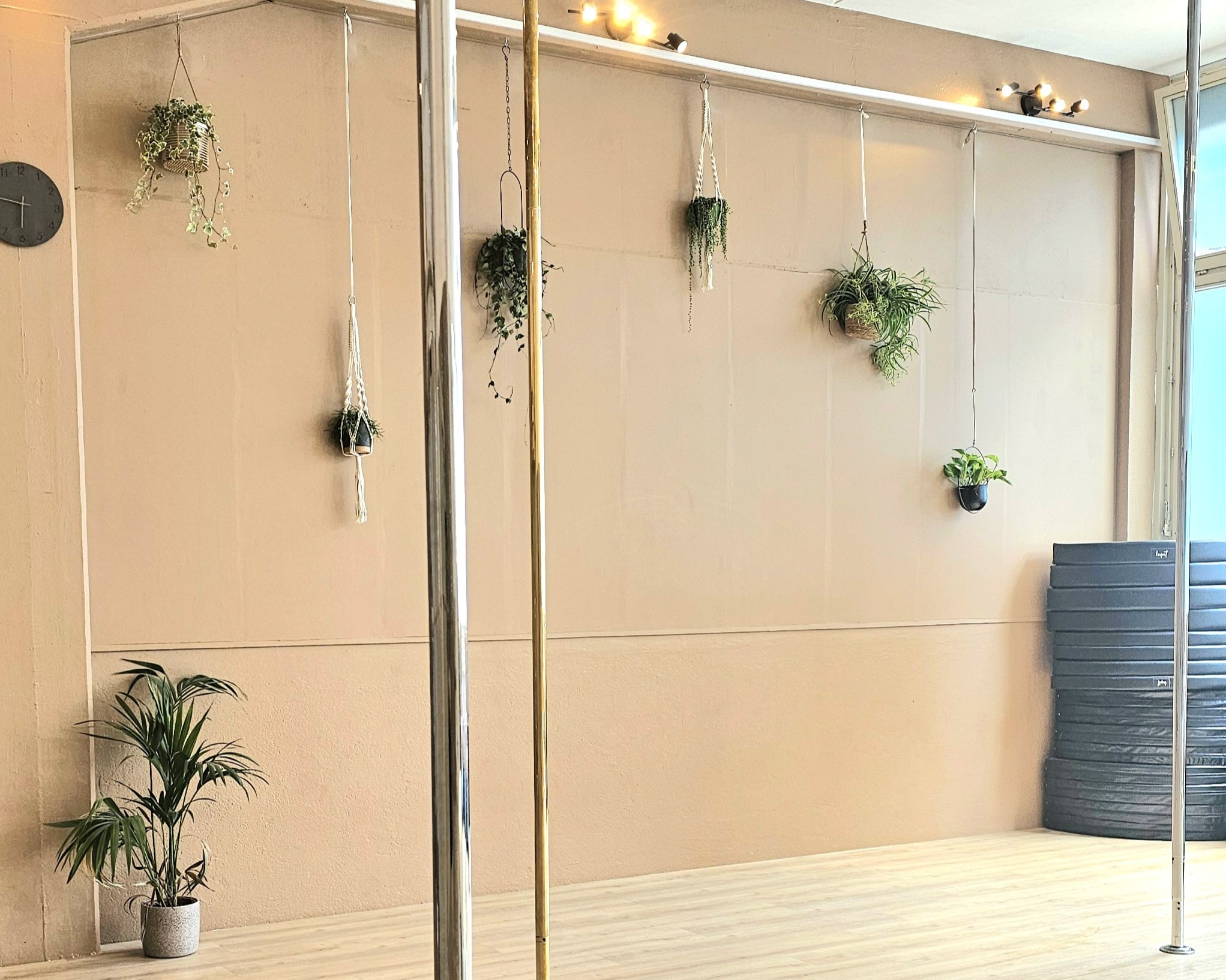 studio de pole dance lausanne